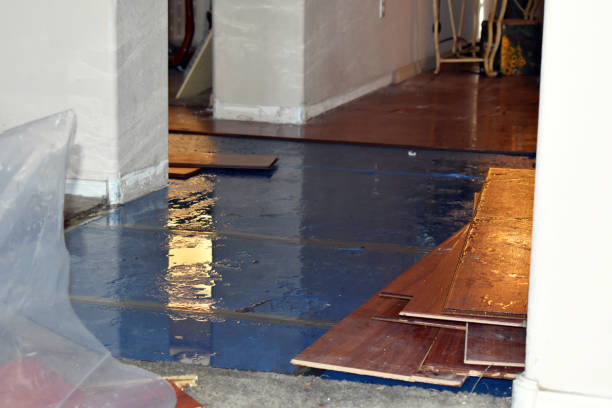 Professional Basement Flood Cleanup technician working in Elk River, MN